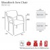 Woodtech Arm Chair